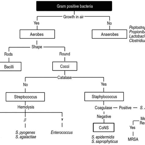 Growth of Clinically Important Gram.